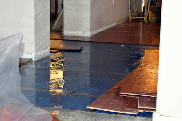 Professional Burst Pipe Cleanup technician working in South Dartmouth, MA